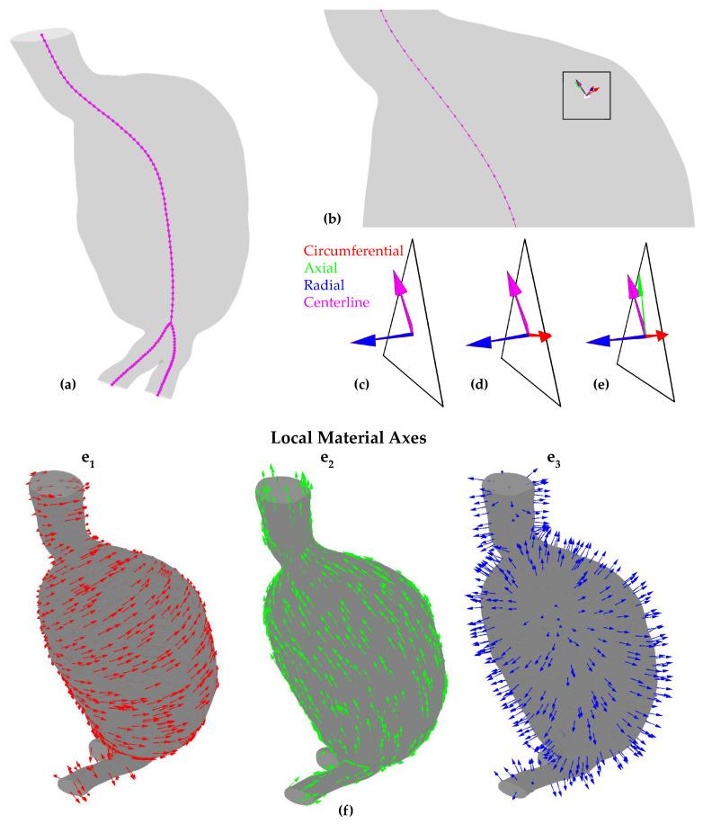 https://cdn.ncbi.nlm.nih.gov/pmc/blobs/c9f3/10886172/43f7c5e0514b/bioengineering-11-00144-g004.jpg