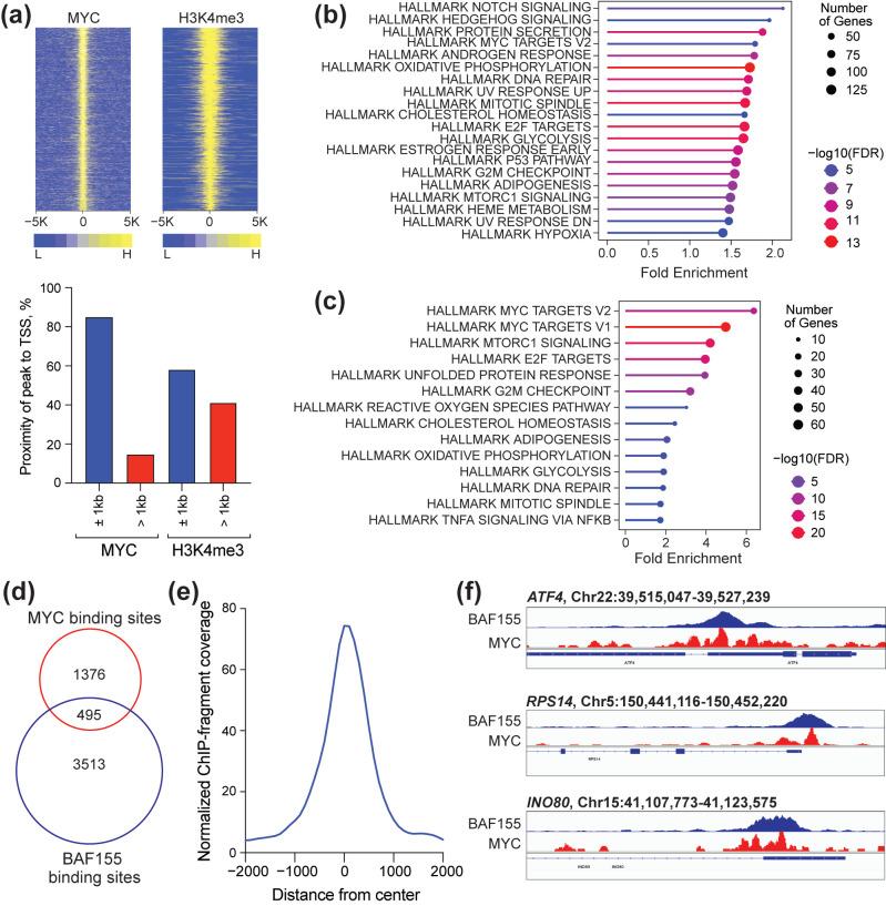 https://cdn.ncbi.nlm.nih.gov/pmc/blobs/c9f4/12248706/225c841db8c4/cancers-17-02255-g002.jpg