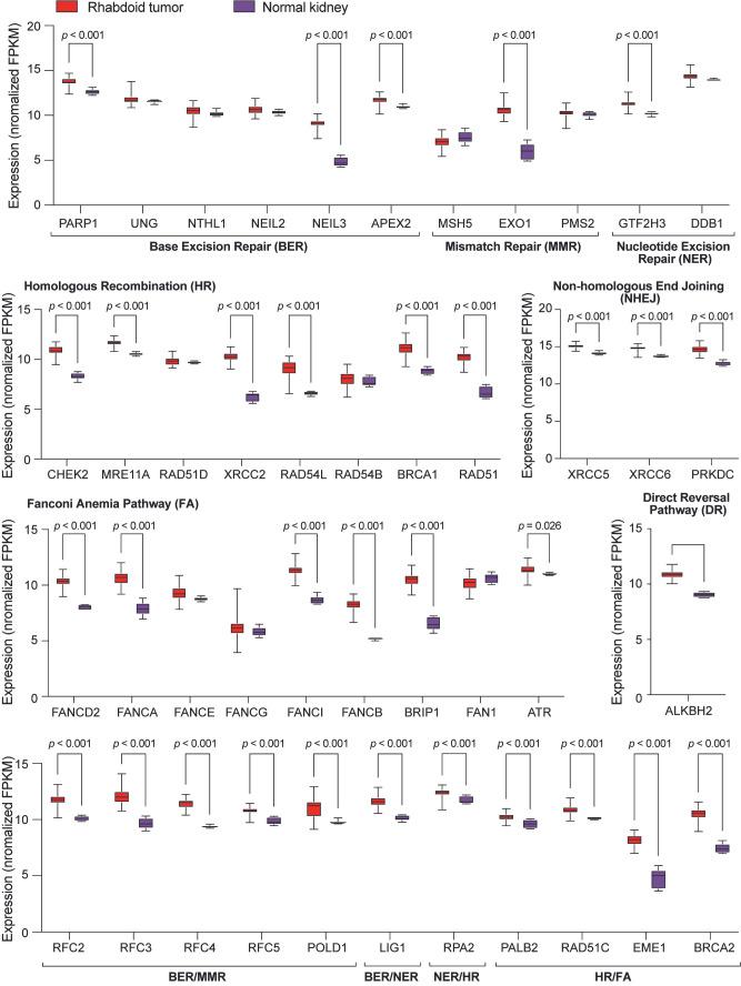 https://cdn.ncbi.nlm.nih.gov/pmc/blobs/c9f4/12248706/a3717efb2887/cancers-17-02255-g007.jpg