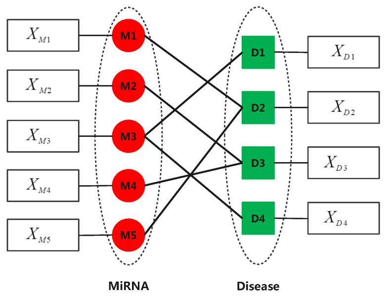 https://cdn.ncbi.nlm.nih.gov/pmc/blobs/c9f4/8465678/66be4827e214/biomedicines-09-01152-g003.jpg