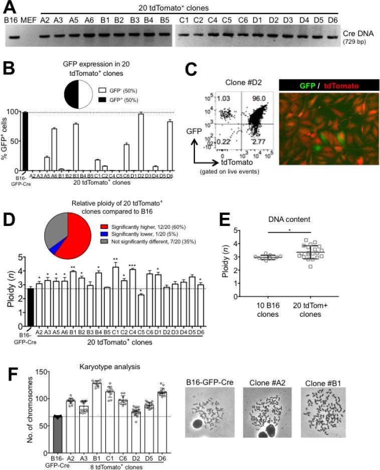 https://cdn.ncbi.nlm.nih.gov/pmc/blobs/c9f5/5814202/fea617032df7/oncotarget-09-6156-g004.jpg