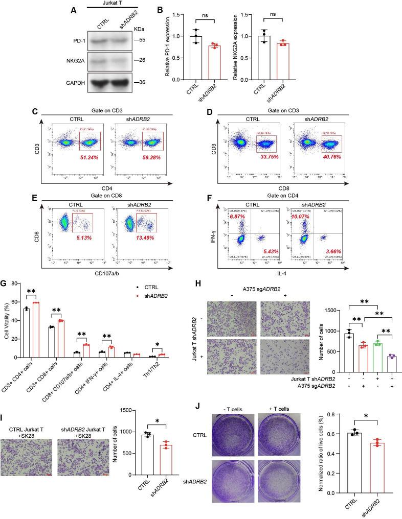 https://cdn.ncbi.nlm.nih.gov/pmc/blobs/c9f6/12164648/2c6ac6c0d202/jitc-13-6-g003.jpg