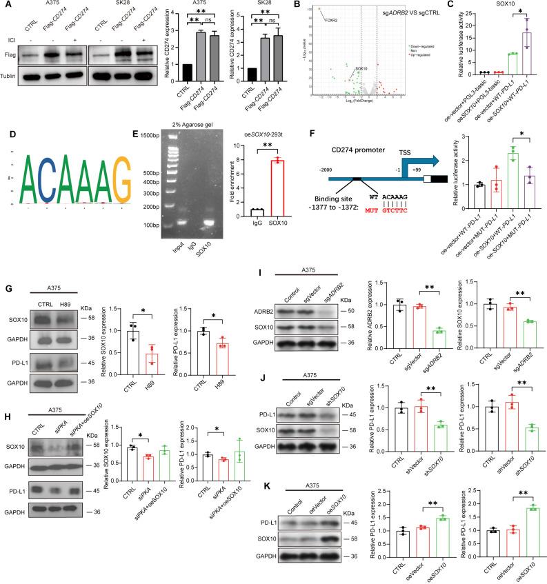 https://cdn.ncbi.nlm.nih.gov/pmc/blobs/c9f6/12164648/32bbba124c30/jitc-13-6-g004.jpg