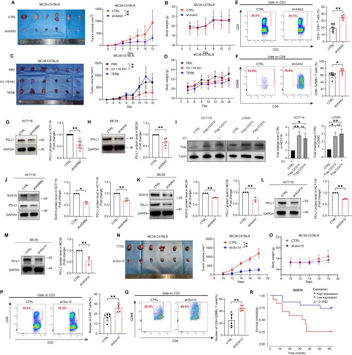 https://cdn.ncbi.nlm.nih.gov/pmc/blobs/c9f6/12164648/54560b10e03e/jitc-13-6-g007.jpg