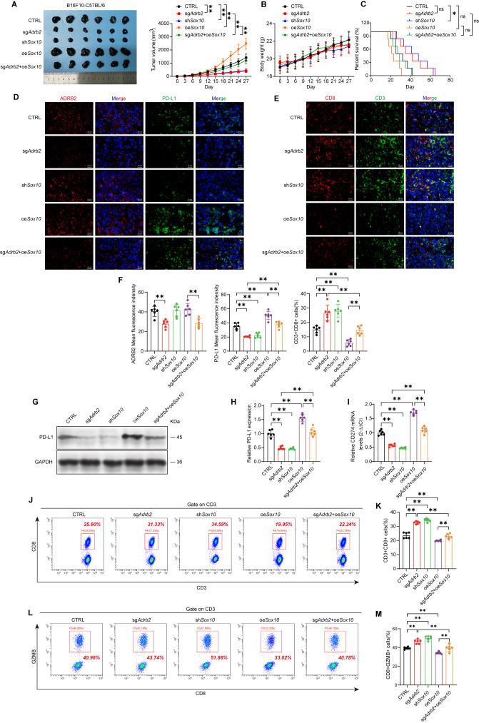 https://cdn.ncbi.nlm.nih.gov/pmc/blobs/c9f6/12164648/5b331608aeb0/jitc-13-6-g005.jpg