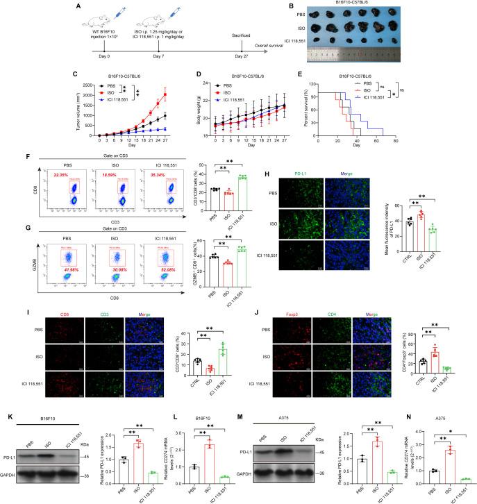 https://cdn.ncbi.nlm.nih.gov/pmc/blobs/c9f6/12164648/a98fe11a649d/jitc-13-6-g002.jpg