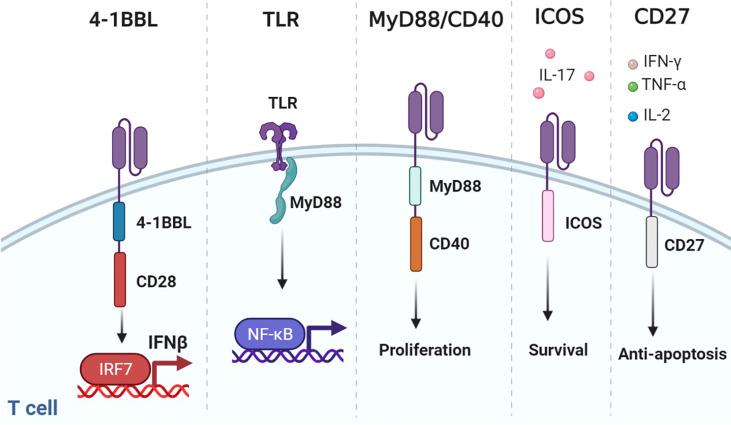 https://cdn.ncbi.nlm.nih.gov/pmc/blobs/c9f7/9315443/8f6137b0e27e/fimmu-13-936496-g005.jpg
