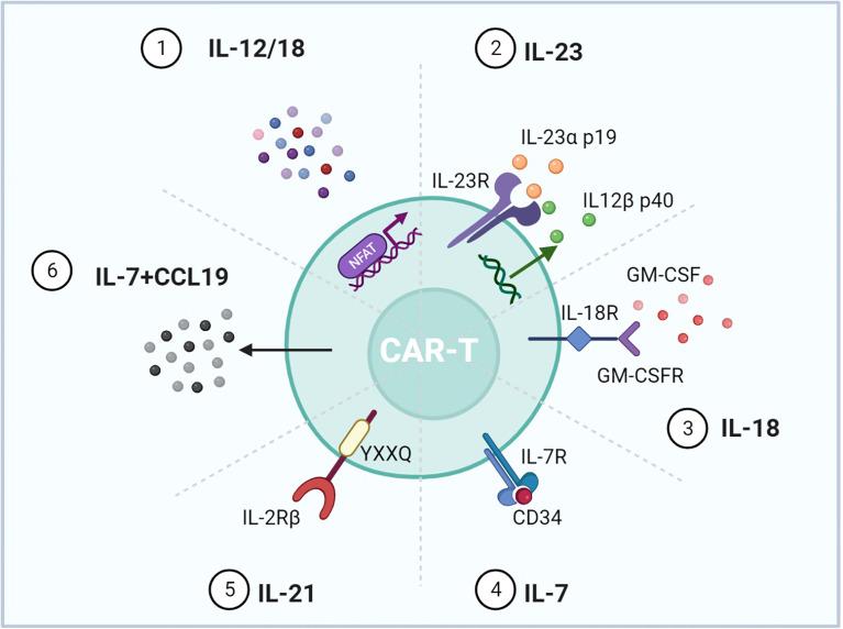 https://cdn.ncbi.nlm.nih.gov/pmc/blobs/c9f7/9315443/e6a9819c6e91/fimmu-13-936496-g006.jpg
