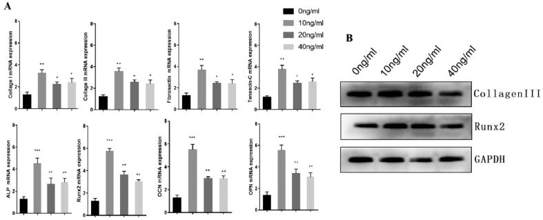 https://cdn.ncbi.nlm.nih.gov/pmc/blobs/c9f9/7548348/9883c4044e19/gr5.jpg