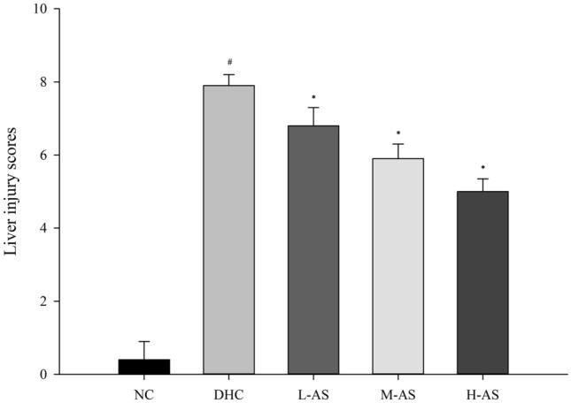 https://cdn.ncbi.nlm.nih.gov/pmc/blobs/c9fb/10980765/4be44c0820b6/41598_2024_57852_Fig2_HTML.jpg