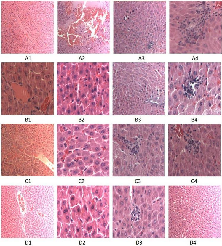 https://cdn.ncbi.nlm.nih.gov/pmc/blobs/c9fb/10980765/d1681f7eff19/41598_2024_57852_Fig1_HTML.jpg