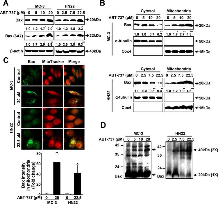 https://cdn.ncbi.nlm.nih.gov/pmc/blobs/c9fd/4742133/62f8518b4a13/oncotarget-06-35667-g003.jpg