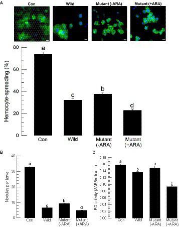 https://cdn.ncbi.nlm.nih.gov/pmc/blobs/c9fe/10764021/b0ff8f75a6a9/fmicb-14-1271764-g004.jpg