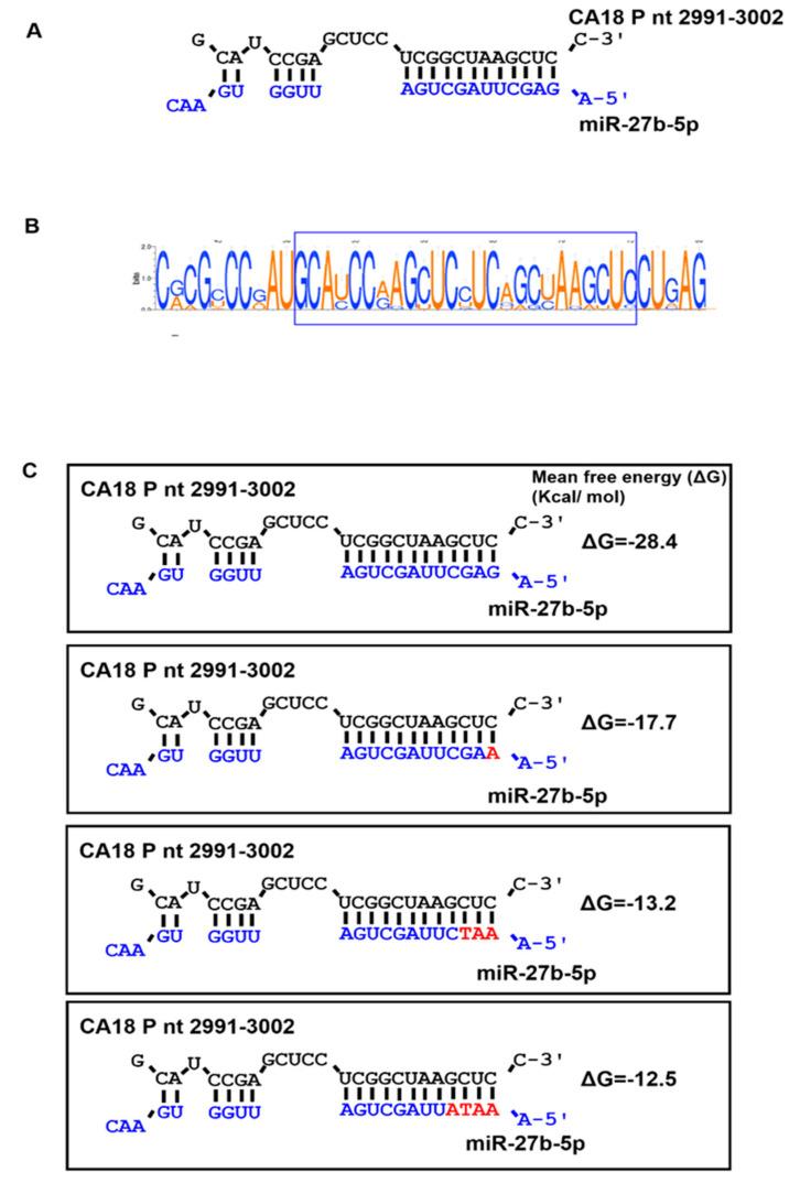 https://cdn.ncbi.nlm.nih.gov/pmc/blobs/c9fe/11599118/e1ba3a99ca61/viruses-16-01748-g003.jpg