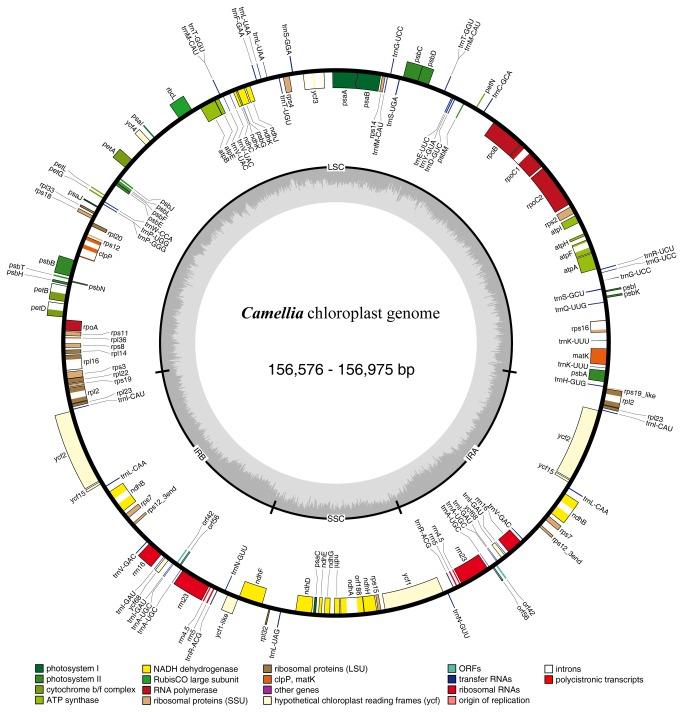 https://cdn.ncbi.nlm.nih.gov/pmc/blobs/c9fe/3751842/825502f825c2/pone.0073053.g001.jpg
