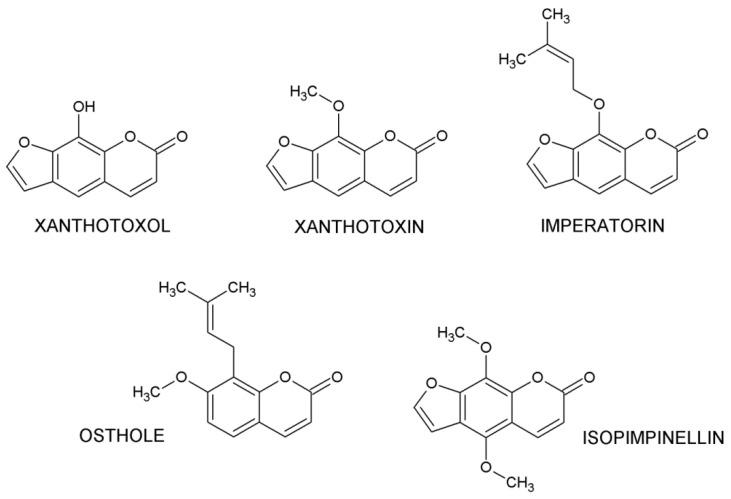 https://cdn.ncbi.nlm.nih.gov/pmc/blobs/c9fe/7827586/58ea4fd597a3/ijms-22-00537-g001.jpg