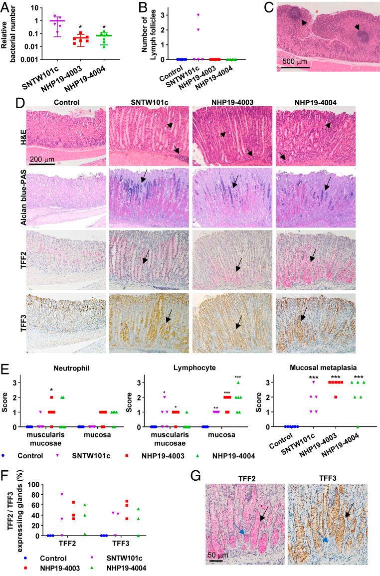 https://cdn.ncbi.nlm.nih.gov/pmc/blobs/ca00/8020762/60efc398662e/pnas.2026337118fig03.jpg