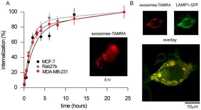 https://cdn.ncbi.nlm.nih.gov/pmc/blobs/ca03/4370373/1cb29f89edc0/pone.0117495.g004.jpg