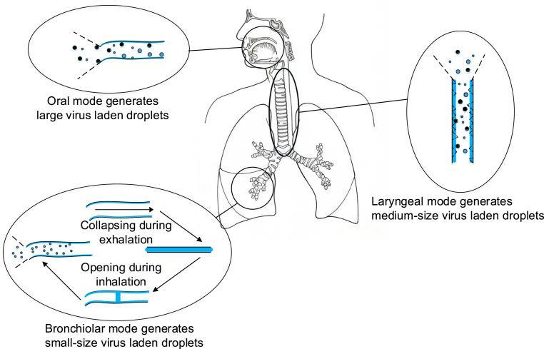 https://cdn.ncbi.nlm.nih.gov/pmc/blobs/ca04/7645283/04864477e105/gr1_lrg.jpg