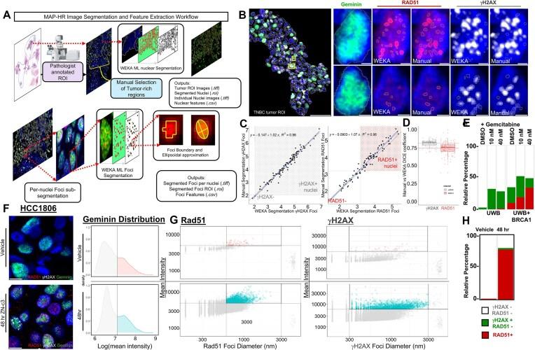 https://cdn.ncbi.nlm.nih.gov/pmc/blobs/ca07/12342941/61f045119e8d/zcaf025fig4.jpg