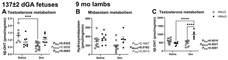 https://cdn.ncbi.nlm.nih.gov/pmc/blobs/ca0a/11944367/12fcf2938867/pharmaceutics-17-00285-g001.jpg