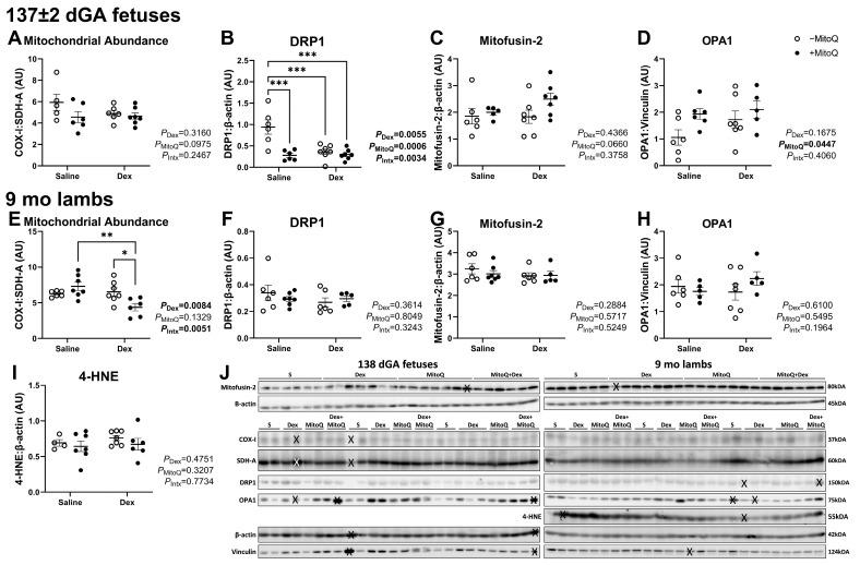 https://cdn.ncbi.nlm.nih.gov/pmc/blobs/ca0a/11944367/315f3cb7959e/pharmaceutics-17-00285-g004.jpg