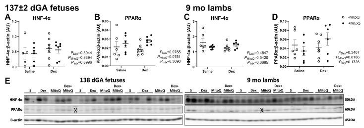 https://cdn.ncbi.nlm.nih.gov/pmc/blobs/ca0a/11944367/4865315b0fd1/pharmaceutics-17-00285-g005.jpg