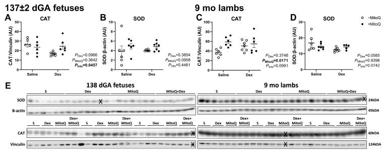 https://cdn.ncbi.nlm.nih.gov/pmc/blobs/ca0a/11944367/4a083cf97532/pharmaceutics-17-00285-g003.jpg