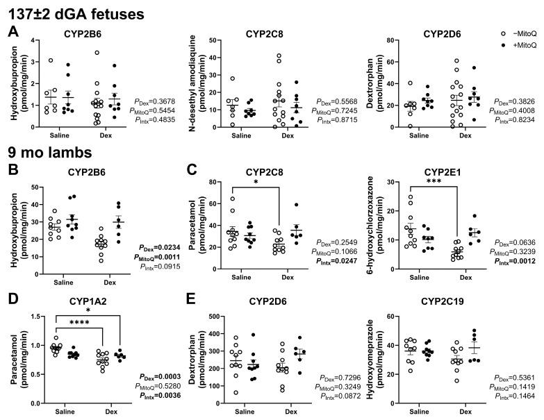 https://cdn.ncbi.nlm.nih.gov/pmc/blobs/ca0a/11944367/b1cec11288db/pharmaceutics-17-00285-g002.jpg