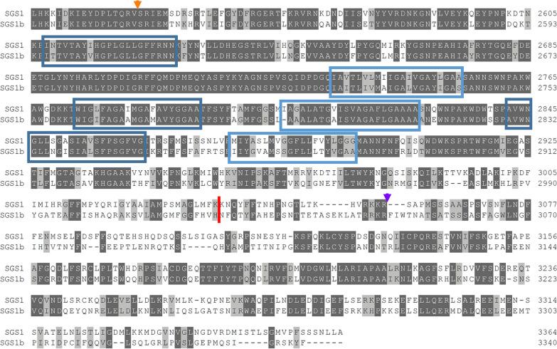 https://cdn.ncbi.nlm.nih.gov/pmc/blobs/ca0d/7788941/865b06d67515/12936_2020_3537_Fig4_HTML.jpg