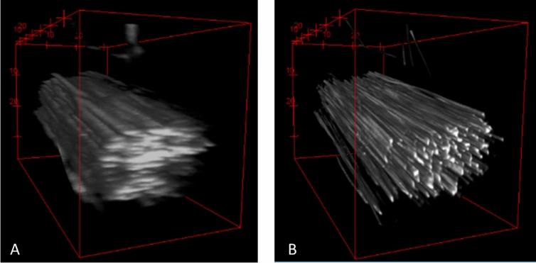 https://cdn.ncbi.nlm.nih.gov/pmc/blobs/ca0d/8115086/7858f8a0deec/41598_2021_89566_Fig6_HTML.jpg
