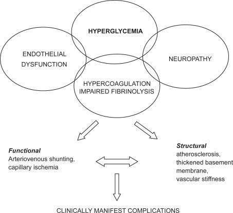 https://cdn.ncbi.nlm.nih.gov/pmc/blobs/ca0e/2605330/200a3593efc3/vhrm-4-1061f1.jpg