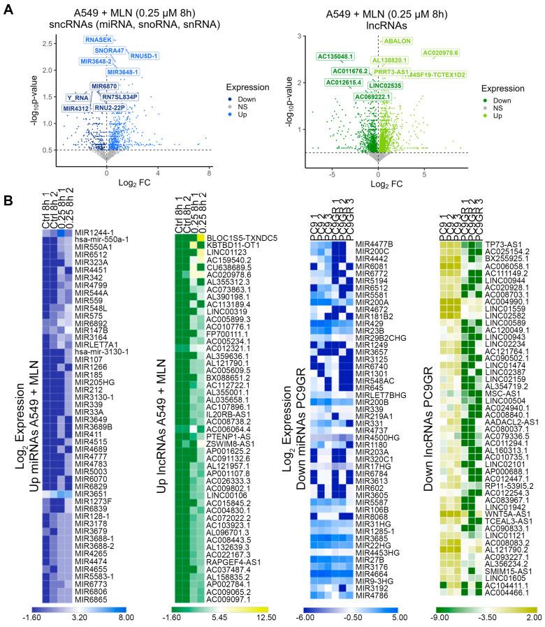 https://cdn.ncbi.nlm.nih.gov/pmc/blobs/ca11/10886669/0177455e61db/cancers-16-00825-g002.jpg