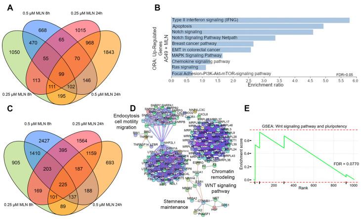 https://cdn.ncbi.nlm.nih.gov/pmc/blobs/ca11/10886669/e078808714b0/cancers-16-00825-g001.jpg