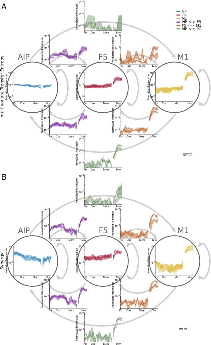 https://cdn.ncbi.nlm.nih.gov/pmc/blobs/ca11/9926243/3244dd2606a4/pnas.2207677120fig05.jpg