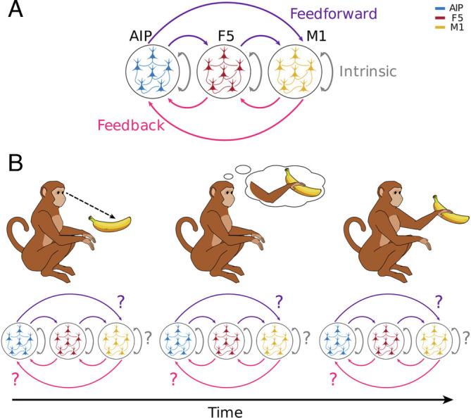 https://cdn.ncbi.nlm.nih.gov/pmc/blobs/ca11/9926243/8855522428be/pnas.2207677120fig01.jpg