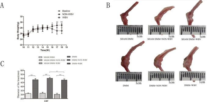 https://cdn.ncbi.nlm.nih.gov/pmc/blobs/ca12/10434961/1f4691963cf5/pone.0270074.g001.jpg