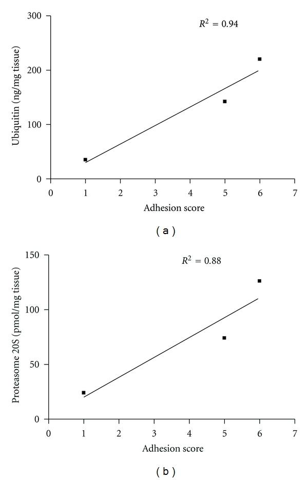 https://cdn.ncbi.nlm.nih.gov/pmc/blobs/ca15/3306991/6f96059333ee/MI2012-194723.004.jpg