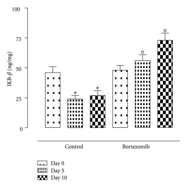 https://cdn.ncbi.nlm.nih.gov/pmc/blobs/ca15/3306991/8e39a133afe3/MI2012-194723.006.jpg