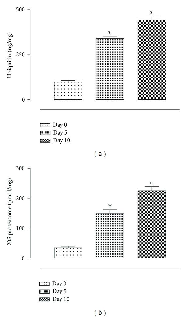 https://cdn.ncbi.nlm.nih.gov/pmc/blobs/ca15/3306991/c1814a6230f5/MI2012-194723.001.jpg
