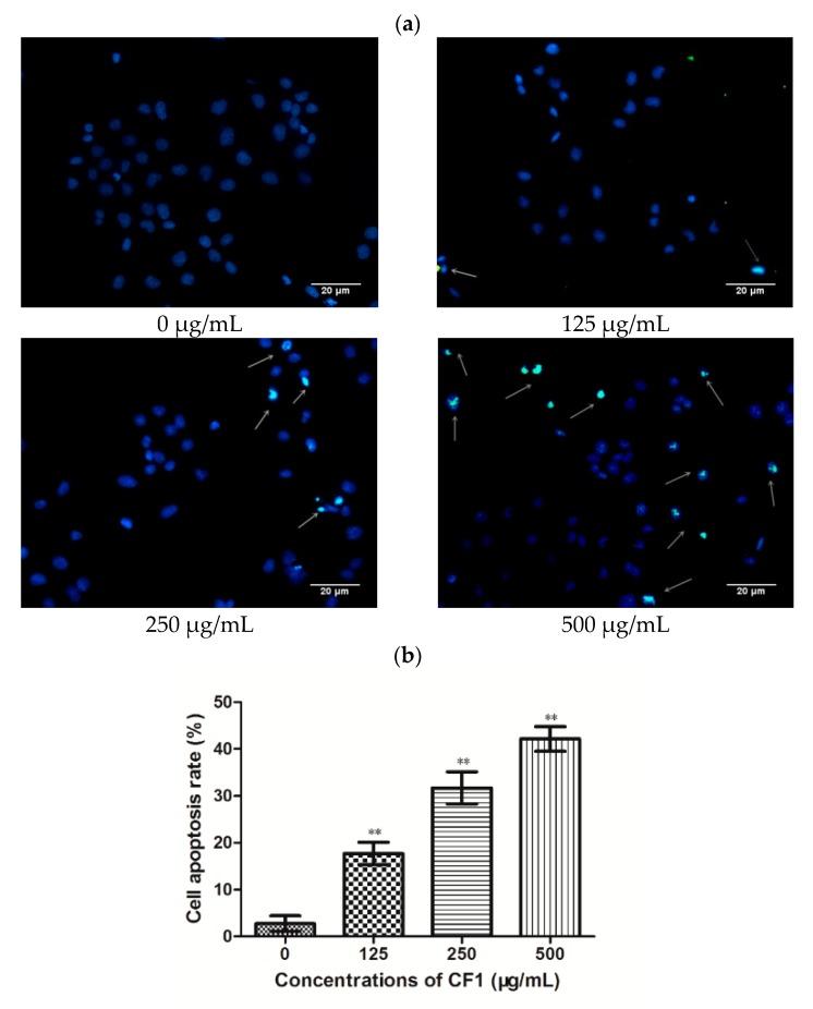 https://cdn.ncbi.nlm.nih.gov/pmc/blobs/ca15/6222688/bd553fa33c10/molecules-23-02430-g006a.jpg