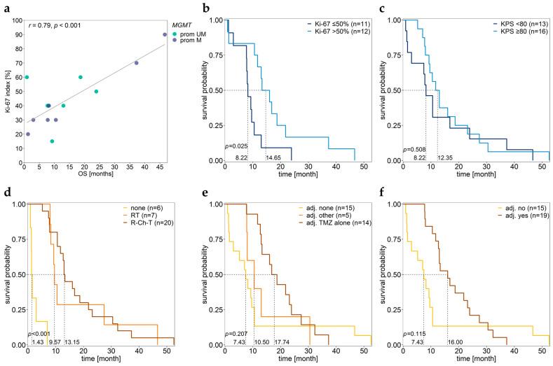 https://cdn.ncbi.nlm.nih.gov/pmc/blobs/ca16/10742072/605361423a66/cancers-15-05777-g006.jpg