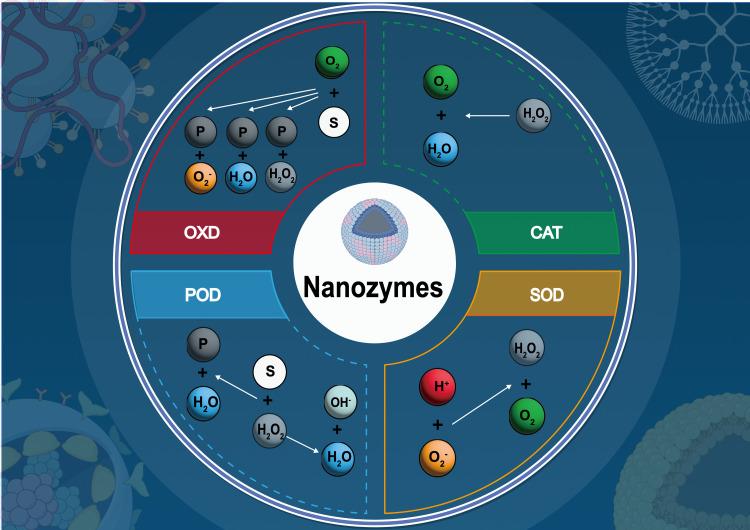https://cdn.ncbi.nlm.nih.gov/pmc/blobs/ca16/12051984/cf503b8aec45/IJN-20-5613-g0002.jpg