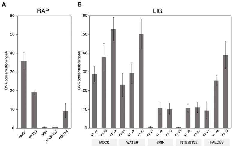 https://cdn.ncbi.nlm.nih.gov/pmc/blobs/ca18/11641276/11697dc884aa/ijms-25-12603-g001.jpg
