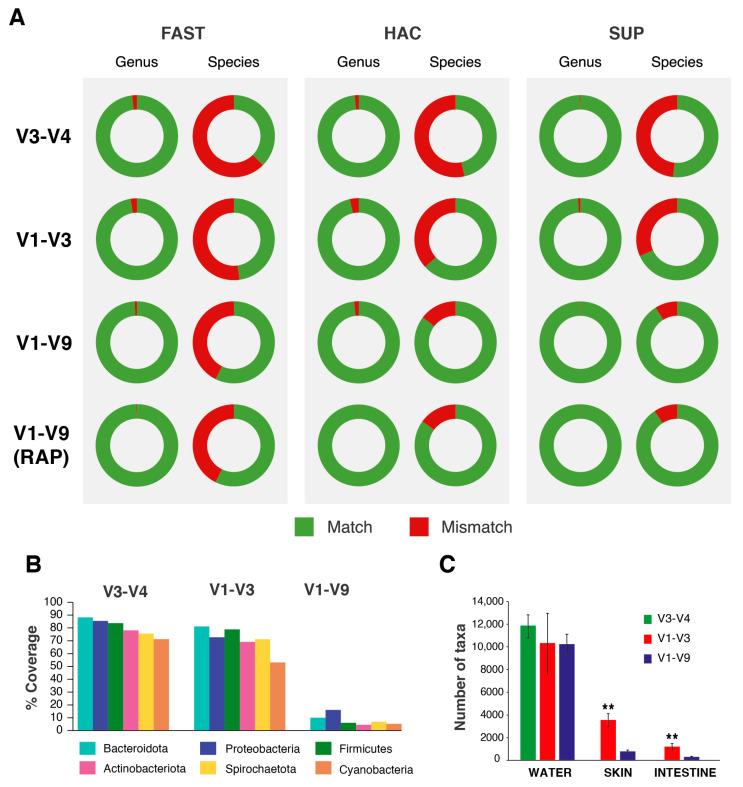 https://cdn.ncbi.nlm.nih.gov/pmc/blobs/ca18/11641276/8cb17e57bff6/ijms-25-12603-g003.jpg