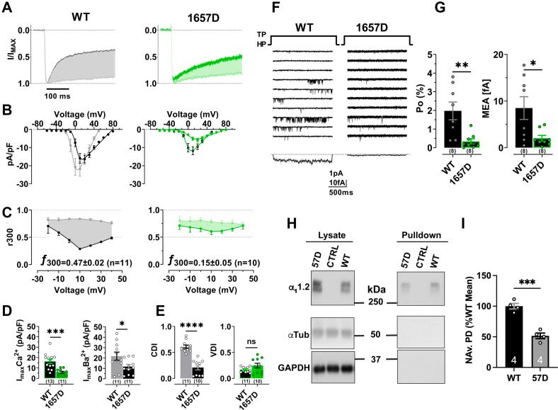 https://cdn.ncbi.nlm.nih.gov/pmc/blobs/ca18/9764201/3499f359742c/gr6.jpg