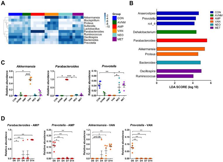 https://cdn.ncbi.nlm.nih.gov/pmc/blobs/ca19/9774394/00e848b817bf/antibiotics-11-01762-g002.jpg