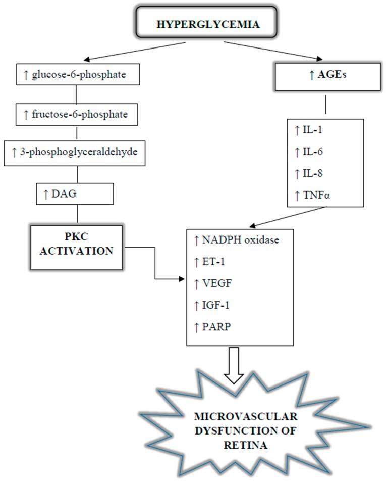 https://cdn.ncbi.nlm.nih.gov/pmc/blobs/ca1a/10779474/6134fca4bc76/jcm-13-00292-g003.jpg