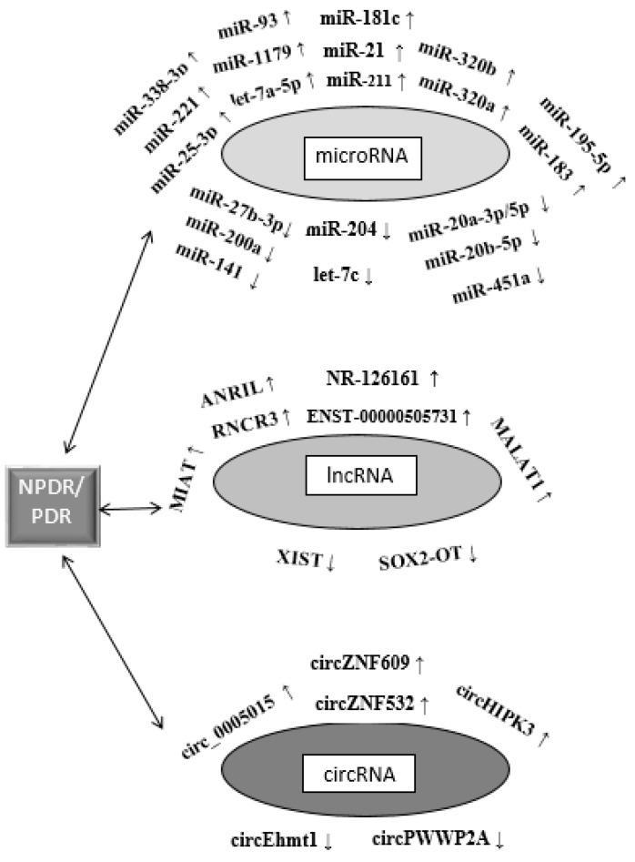 https://cdn.ncbi.nlm.nih.gov/pmc/blobs/ca1a/10779474/cb834fbe4b56/jcm-13-00292-g004.jpg