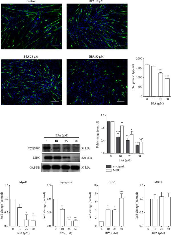 https://cdn.ncbi.nlm.nih.gov/pmc/blobs/ca1a/10917485/20f5fa9270d6/JT2024-3840950.004.jpg